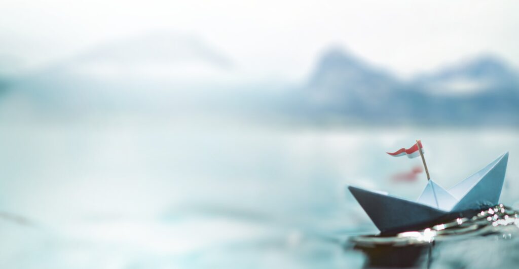 Ein symbolisches Bild mit einem Papierboot im Meer, dass das Konzept der Freiheit in Verbindung mit der Telemedizin (TMZ) darstellt.