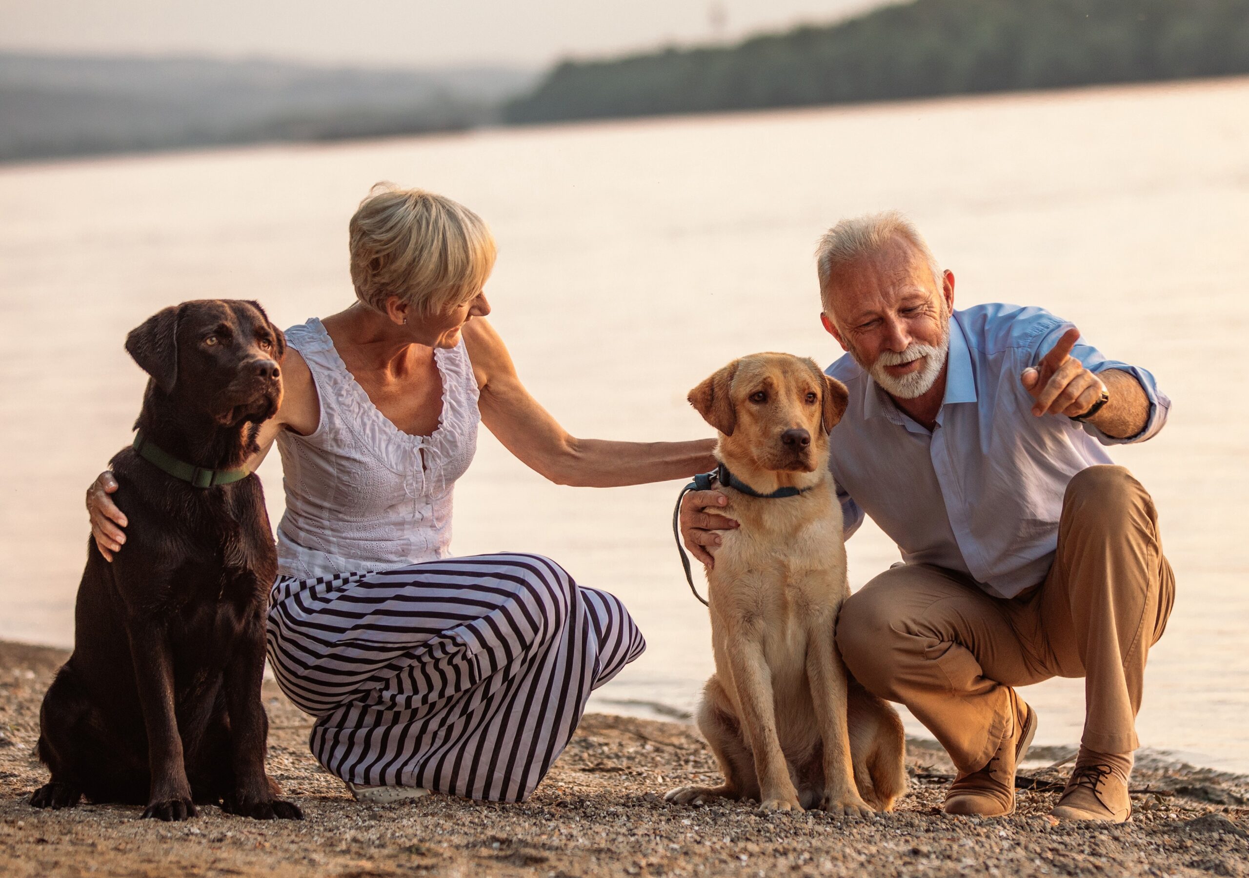 Ein Paar, welches an Herzinsuffizienz leidet und zwei Hunde hat, kann am Strand dank der digitalen Gesundheitsanwendung ProHerz ein unabhängiges Leben genießen.